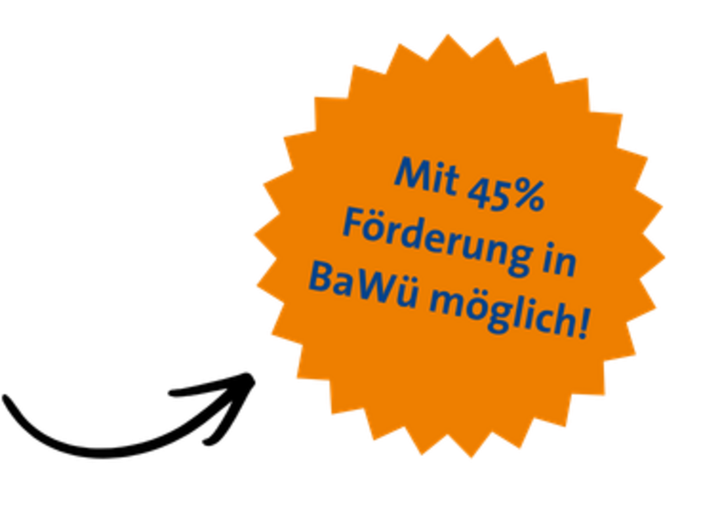 Förderung 45% BaWü